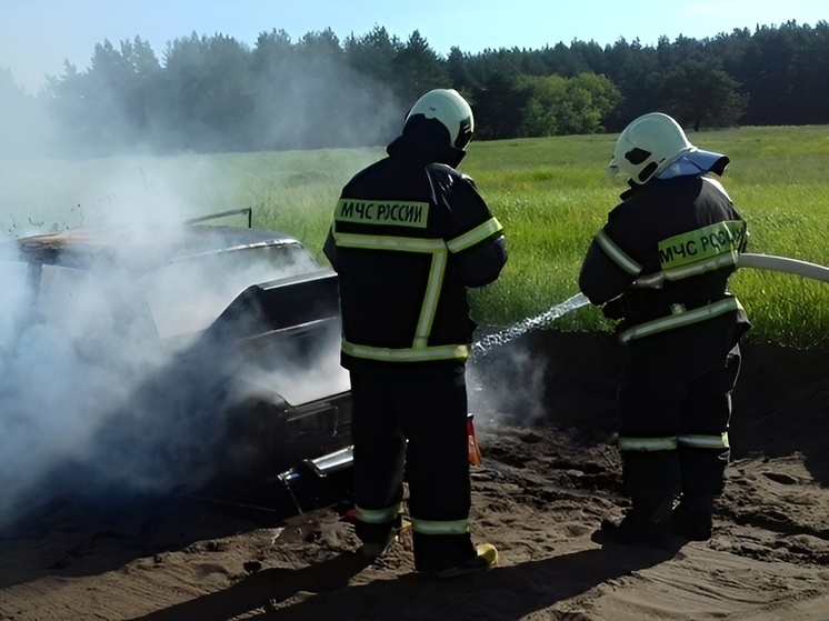 Обугленный труп нашли в сгоревшей машине в Таловском районе