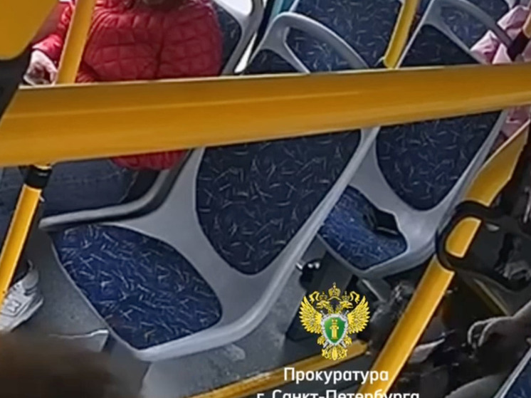 Петербурженка не смогла устоять перед чужим кошельком в автобусе №333