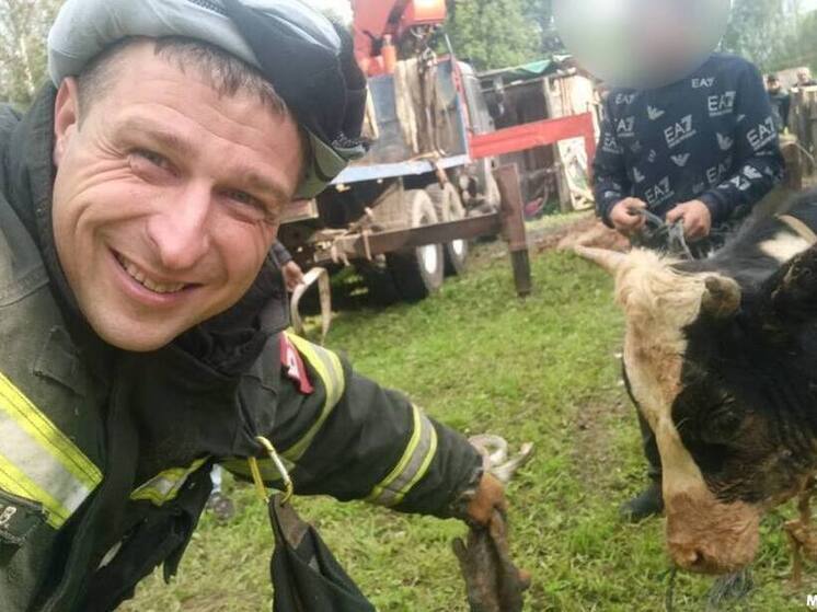 В Тверской области спасли бычка, свалившегося в колодец