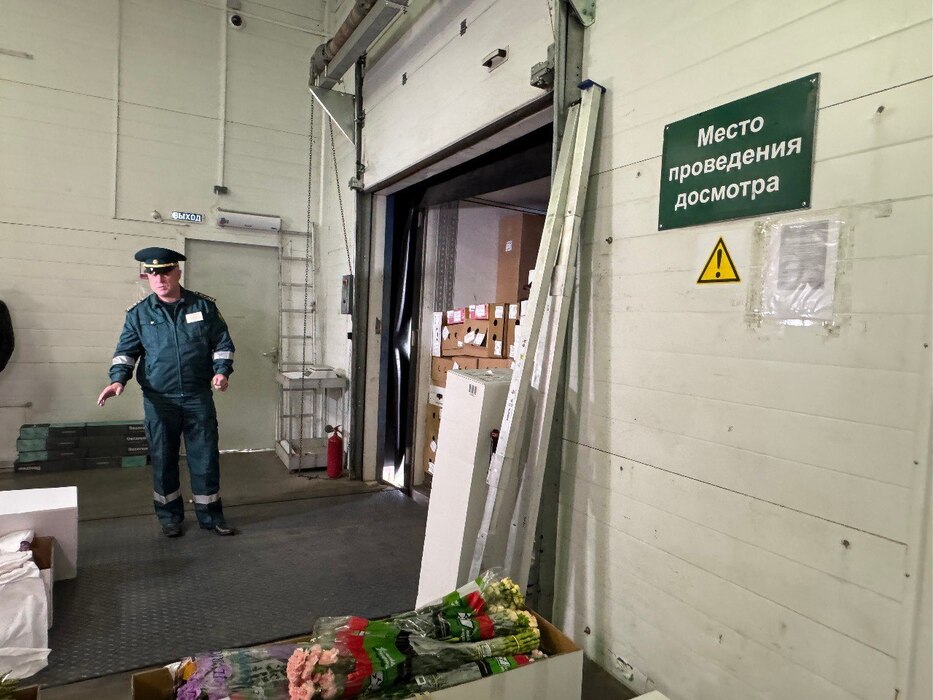 Рабочие моменты таможни