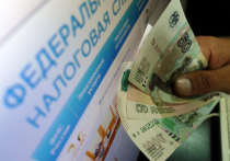 В Госдуме предложили освободить от уплаты НДФЛ граждан, чей ежемесячный доход недотягивает до 30 тысяч рублей