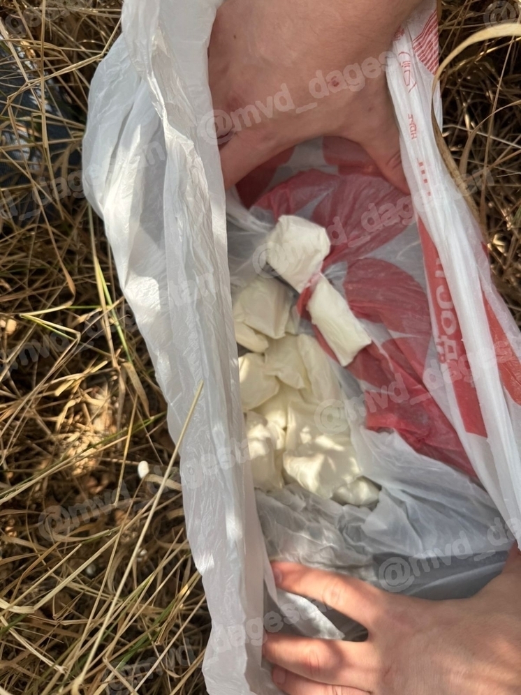 Закладчика задержали в Дагестане с крупной партией наркотиков