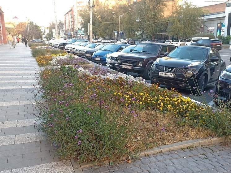 Жителям ЛНР с инвалидностью доступна парковка на спецместах