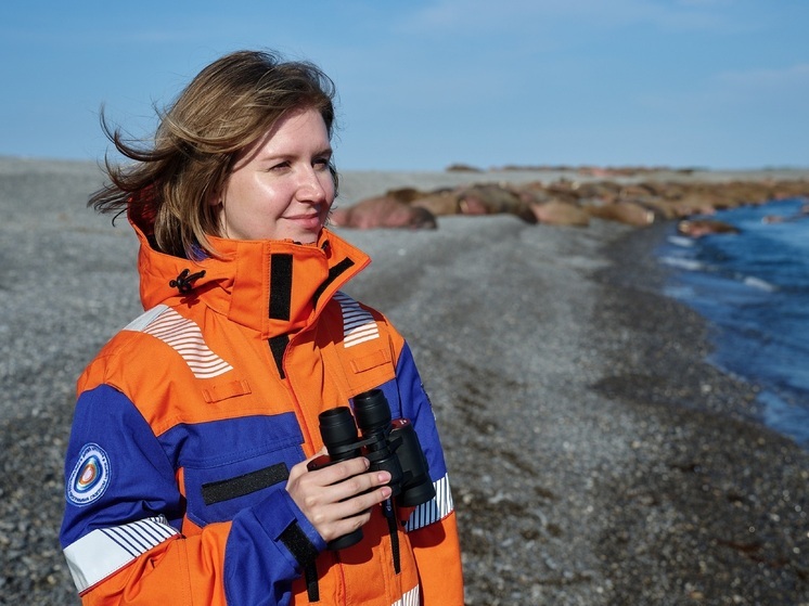 «Газпром нефть» провела глубокое исследование арктической природы РФ