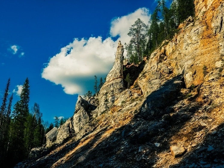 Пинежский заповедник получит 10 миллионов рублей по президентскому гранту на развитие научной инфраструктуры