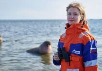 Компания «Газпром нефть» совместно с ведущими российскими научными центрами провела одно из самых масштабных исследований в Арктике