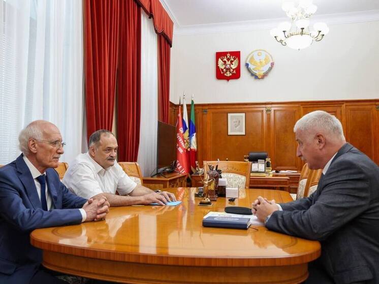 Меликов встретился с главой ДОСААФ России
