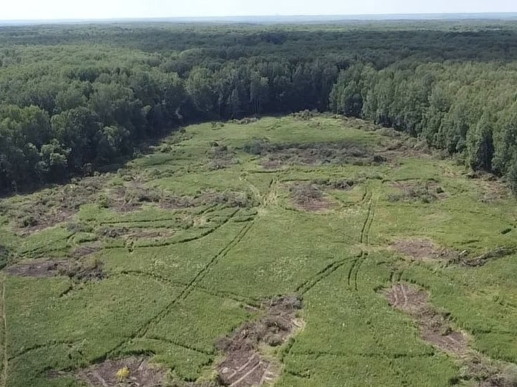 В Калужском регионе взят курс на возвращение в оборот сельхозземель