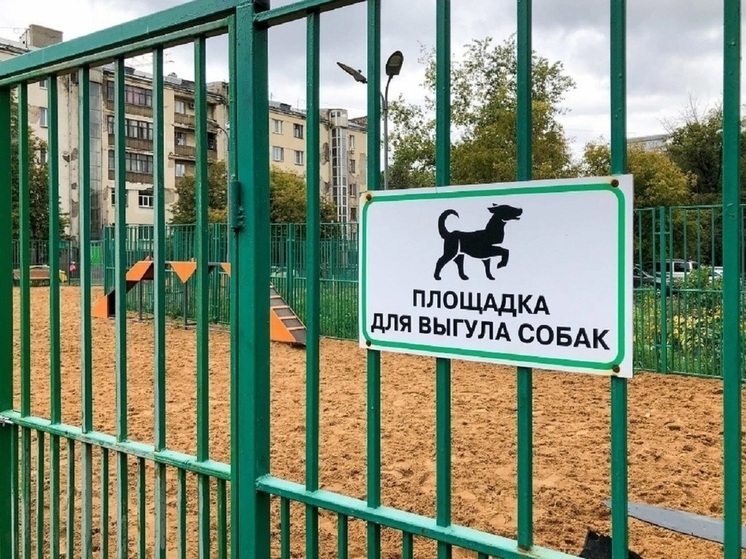 Сразу три новых площадки для выгула животных появится в Ярославле