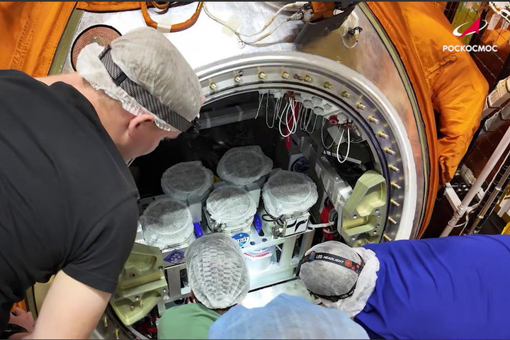 Проверка полярной орбиты: в космос стартовал российский биоспутник «Бион-М» № 2