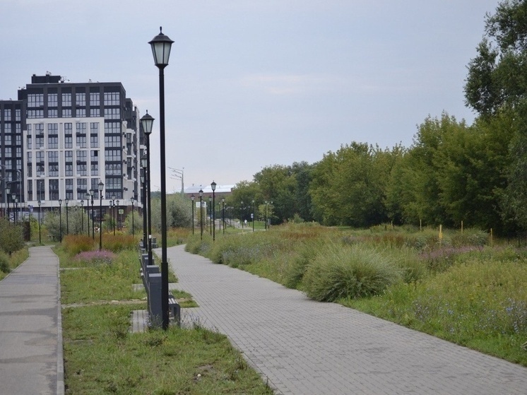 В Иваново работают уже 16 точек беспроводного доступа в интернет