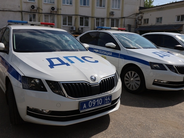 Шарьинские полицейские перехватили нарушителя по дороге в магазин