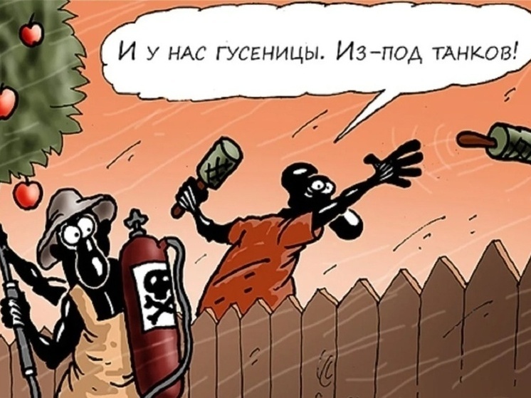 Какие супервредители приехали из дальних стран и стали угрозой Верхневолжью