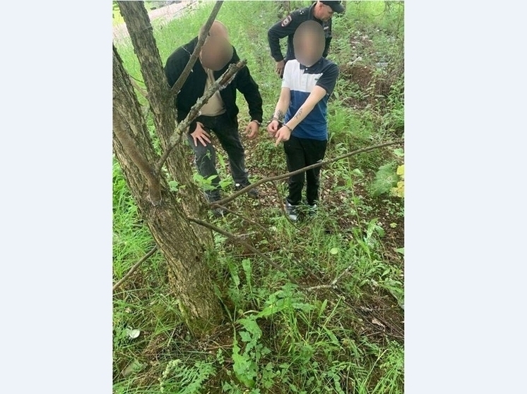 В Перми студента колледжа обвиняют в сбыте и покушении на сбыт наркотиков