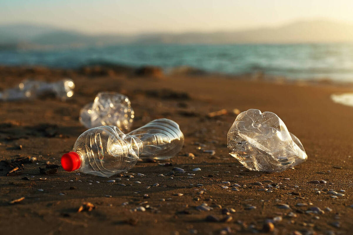 Ученый предупредил о критическом уровне загрязнения турецкого курорта Аланья