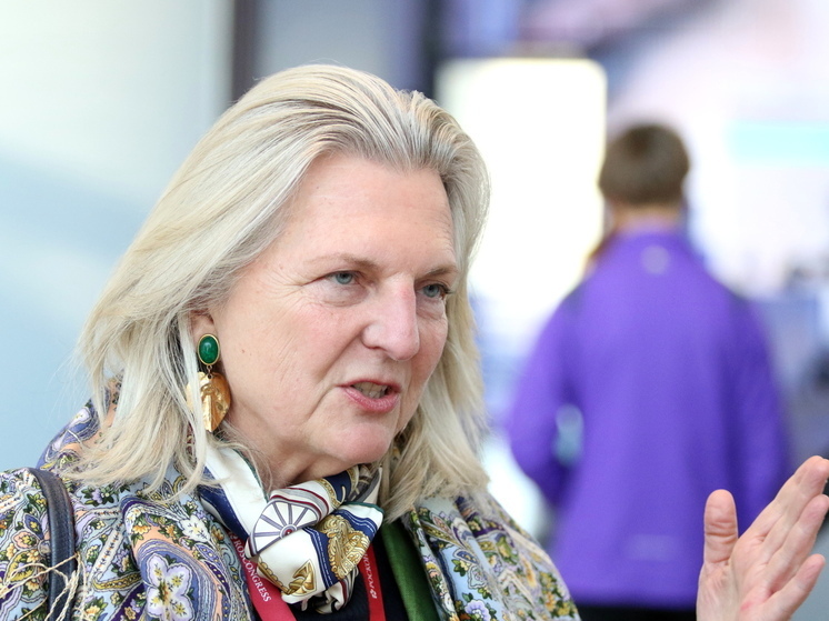 Кнайсль: в Евросоюзе живут иллюзиями и фантазиями из-за Украины