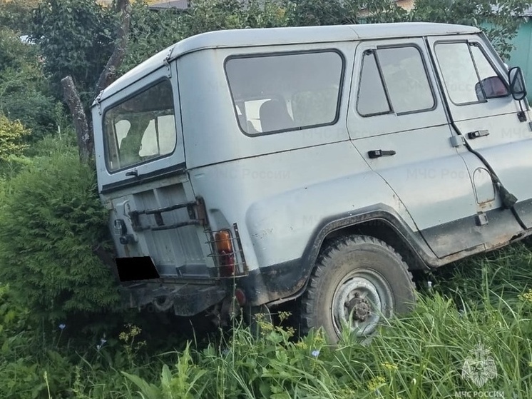УАЗик снёс пешехода в калужских Подборках