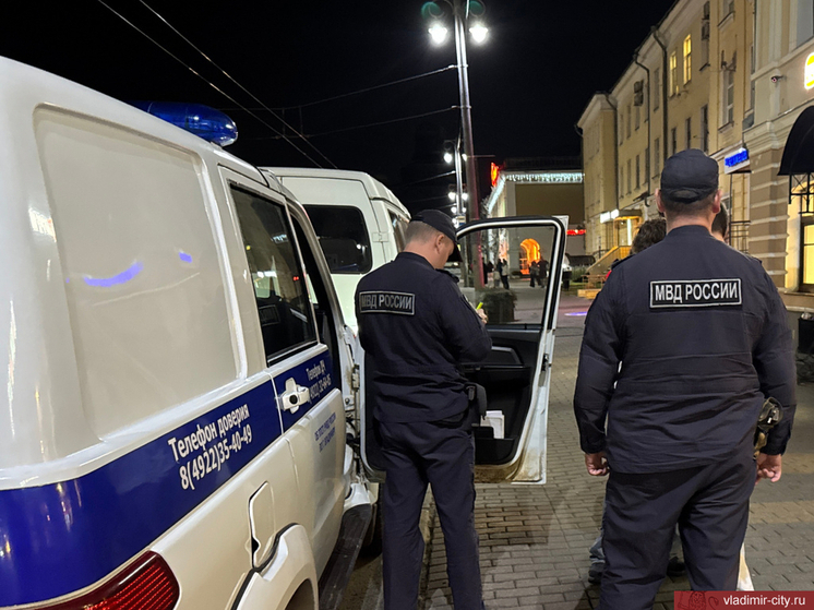 Полиция Владимира задержала шестерых подростков за нахождение на улице в ночное время