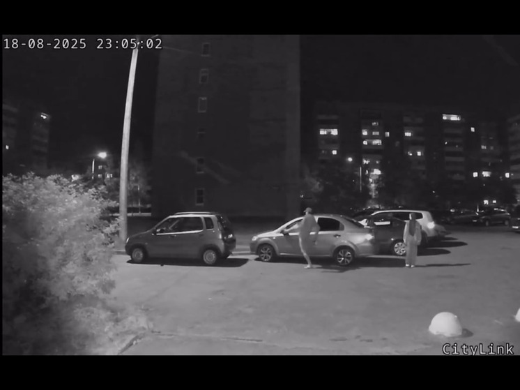 В Петрозаводске неизвестный под камерами повредил чужой автомобиль