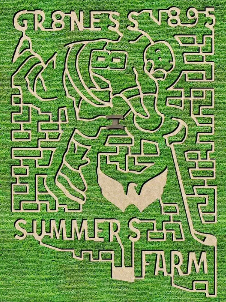 Американская ферма создала лабиринт на кукурузном поле в честь рекорда Овечкина