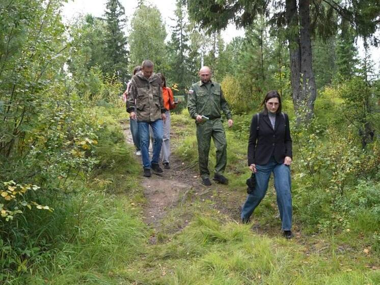 В Мужах начались рейды из-за подростков, которые разожгли костер в лесу