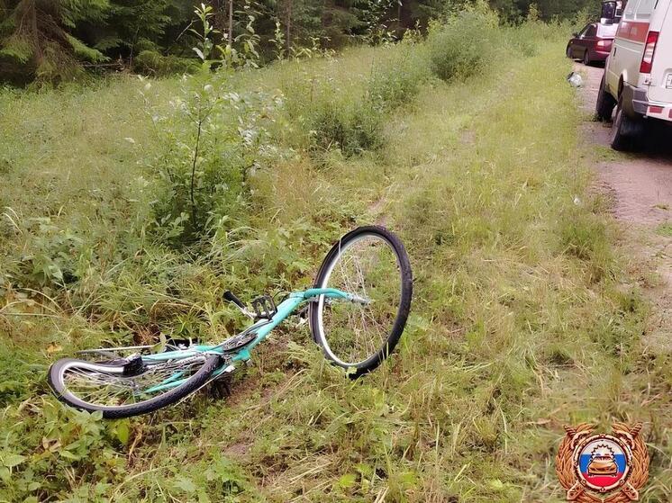 Появились подробности ДТП в Тверской области, где сбили пожилого велосипедиста