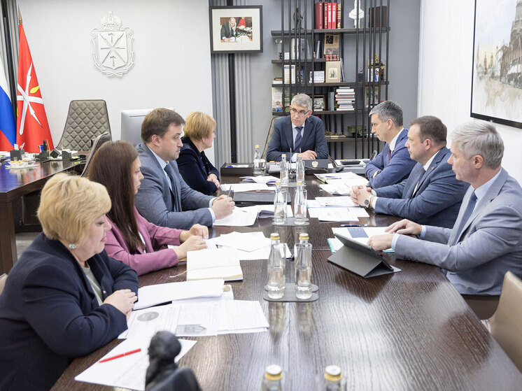 Дмитрий Миляев провел рабочую встречу с Ольгой Гремяковой