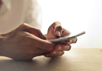 22-летний житель Йошкар-Олы принял предложение новой знакомой о совместном посещении театра и едва не разорился на билете.