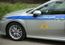 Серийного поджигателя обезвредили сотрудники полиции на востоке Москвы
