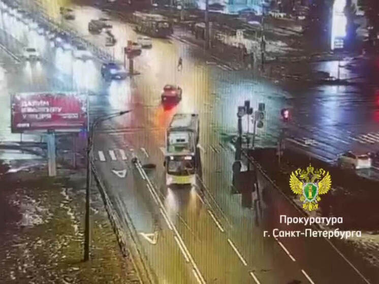Водитель автобуса в Петербурге ответит в суде за смертельный наезд на пешехода