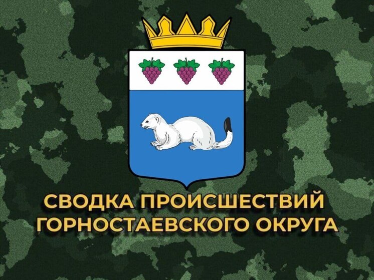 За сутки ВСУ 16 раз обстреляли Горностаевский округ Херсонской области