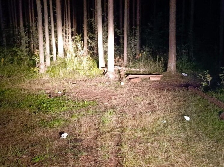 Из-за взрыва в лесу в Кировском районе погиб 11-летний мальчик