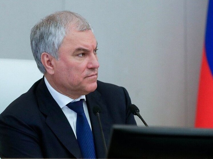 Володин заявил, что релокантов не нужно брать в муниципальные служащие