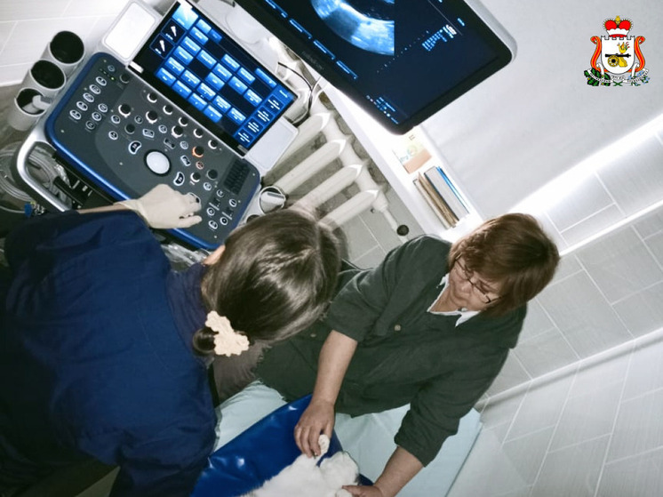 В Смоленском ветеринарном центре появился новый современный УЗИ-аппарат