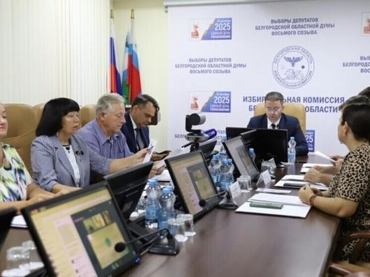 В приграничных муниципалитетах Белгородской области выборы пройдут досрочно