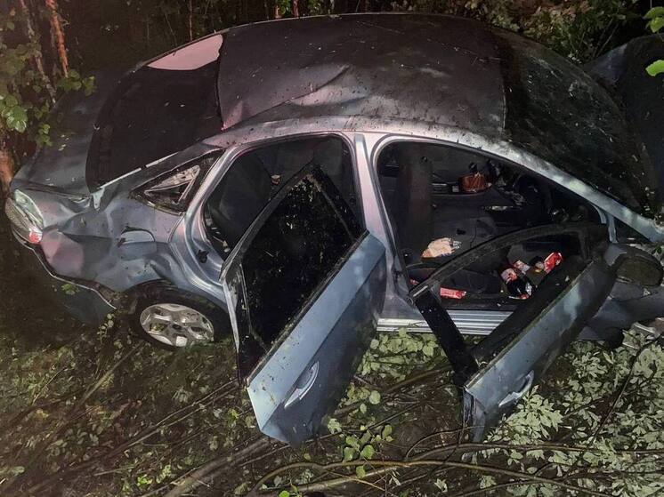 Пьяный водитель устроил смертельное ДТП в Ловозерском районе