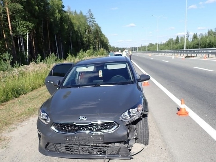 В Югре произошло ДТП с участием медвежонка