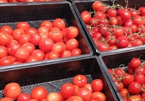 В Свердловской области за неделю, с 11 по 18 августа, снизились цены на большинство продовольственных товаров