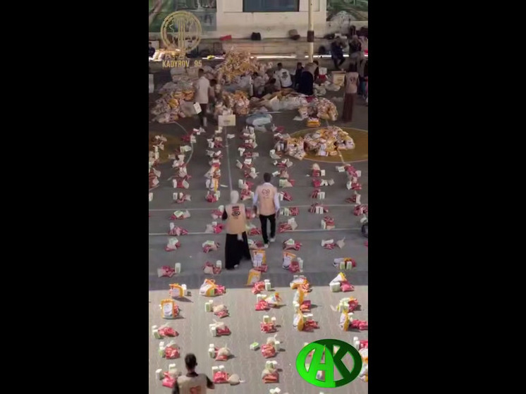 Около 1 млн жителей сектора Газа получат продовольственную помощь из Чечни