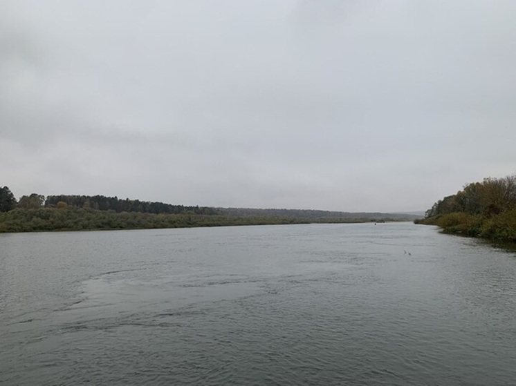 В деле сына осужденного экс-депутата Тулоблдумы появился фигурант из Калуги