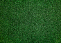 Российский футбольный союз назначил арбитров на игры шестого тура чемпионата России, которые пройдут с 22 по 24 августа