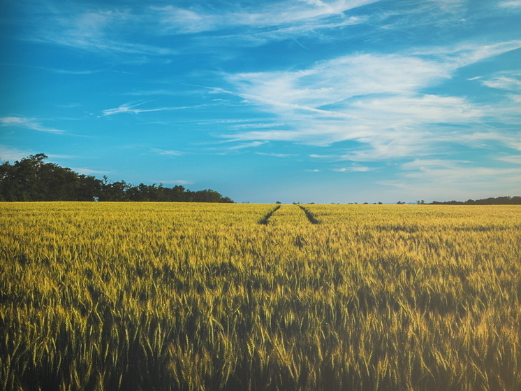 В Марий Эл ИП ответит за вывоз биологических отходов в поля