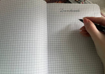 В России начал действовать новый закон, который требует от детей мигрантов знать русский язык, чтобы поступить в школу