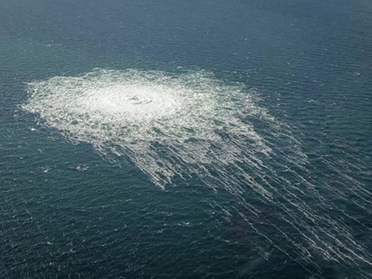 Раскрыты подробности задержания украинца, подозреваемого в подрыве "Северного потока"