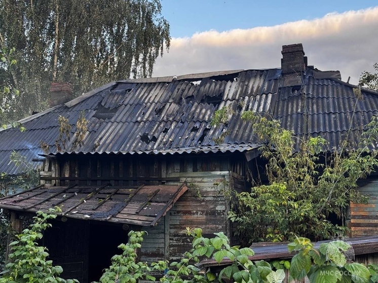 В йошкар-олинской Семеновке сгорел старый нежилой дом