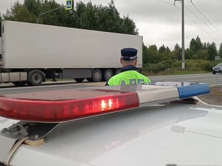 В Курганской области проходят масштабные проверки грузовиков