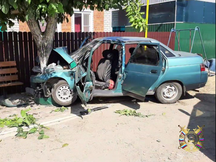 В Брюховецком районе пассажир погиб в ДТП с деревом