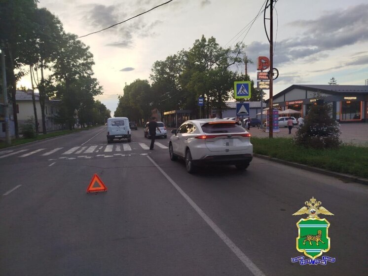 В Биробиджане УАЗ сбил троих детей на пешеходном переходе