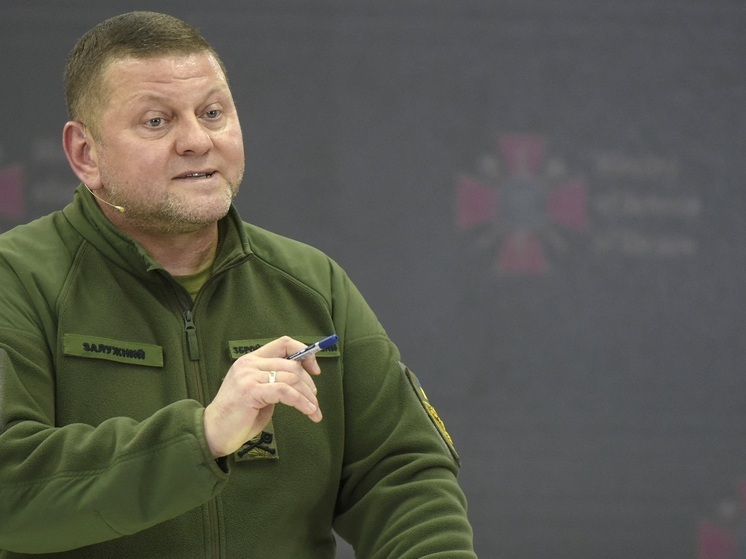 СМИ: Офис Зеленского пытается отговорить Залужного участвовать в выборах