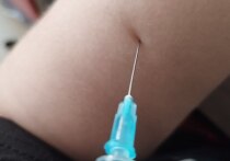 С наступлением осени и холодов многие начинают задумываться о защите своего здоровья. Сезонный подьем заболеваемости ОРВИ и гриппом — ежегодное явление, и один из самых частых вопросов, которым задаются люди: стоит ли снова делать прививку? Ответ специалистов однозначен: да, и для этого есть веские причины. Об этом сообщает Минздрав Новгородской области.